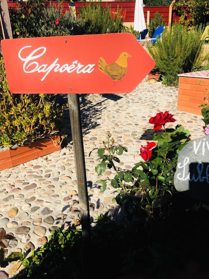 Imperio De Memorias - Casa De Campo Gaviao Bagian luar foto