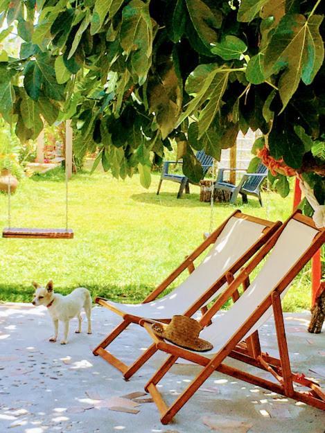 Imperio De Memorias - Casa De Campo Gaviao Bagian luar foto